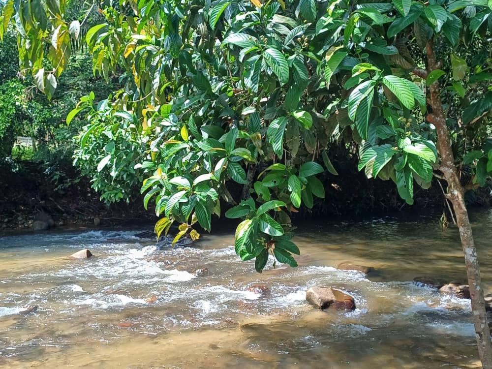فندق Lemuni Retreat & Training Centre - Kerling, Selangor المظهر الخارجي الصورة